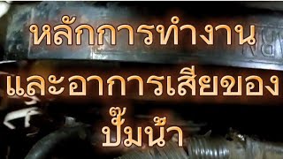 หลักการทำงานปั๊มน้ำรถยนต์และอาการเสียเกิดจากอะไร