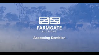 Assessing Beef Cattle - Dentition