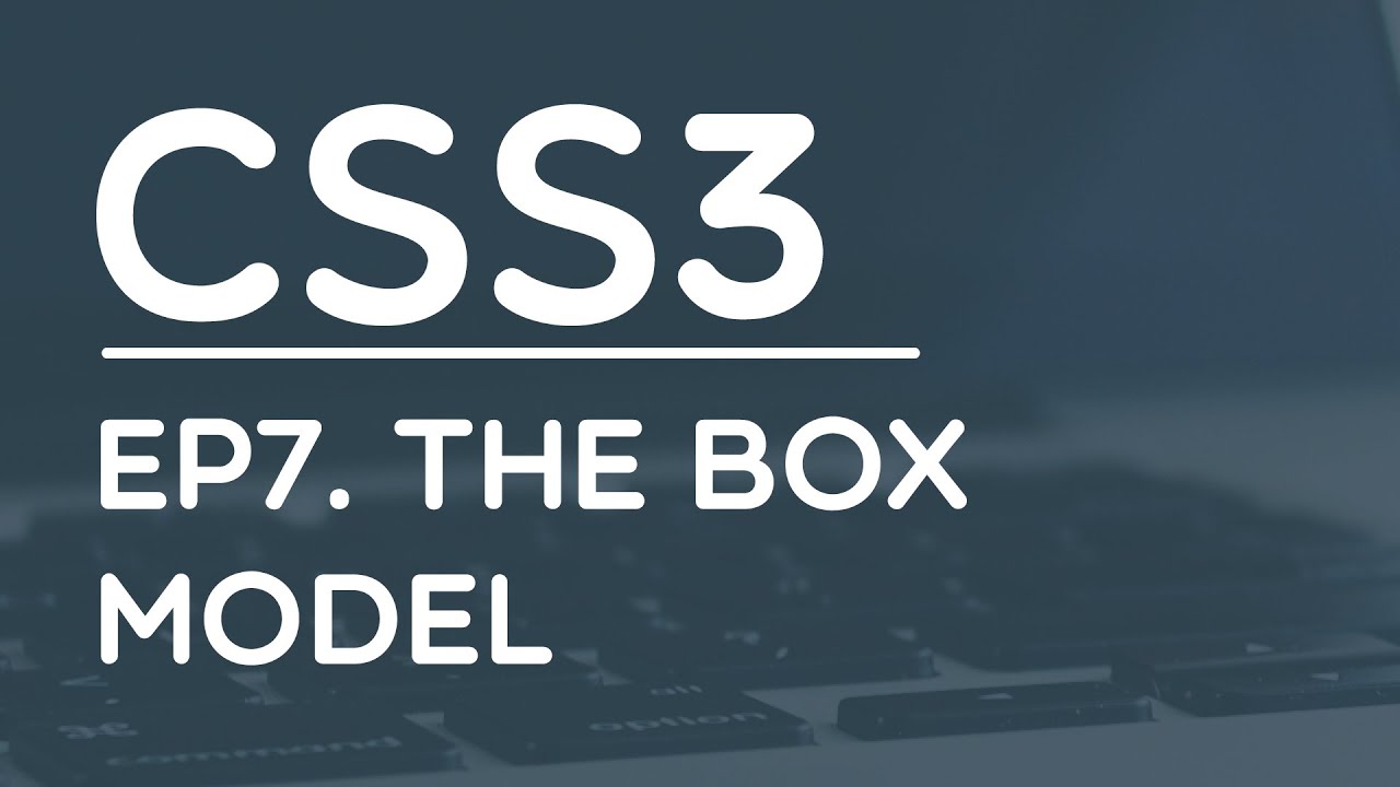 Learning CSS 3 : #7 The Box Model - YouTube