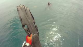 Low Viz dive on Site 5 20170423 - full video