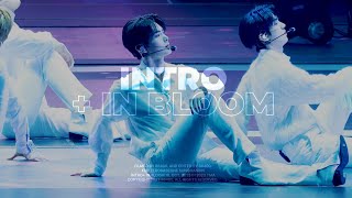 [4K] 231010 ZEROBASEONE 성한빈(SUNGHANBIN) - Intro   In Bloom 직캠 @ TMA