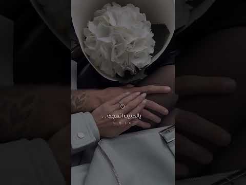 حالات واتس اب قصيره انتى معي دايم راشد الماجد