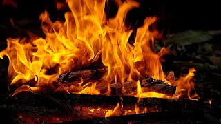 🔥 Relaxing Campfire at Night – Deep Sleep Background for Mental Wellness 🔥