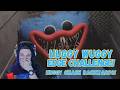 SURVIVING the Huggy Wuggy Edge Challenge! 😱