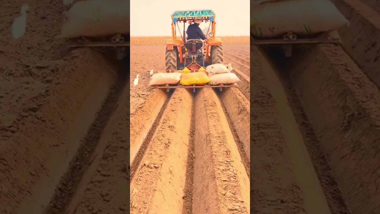 plows make agricultural land and fertilize the land