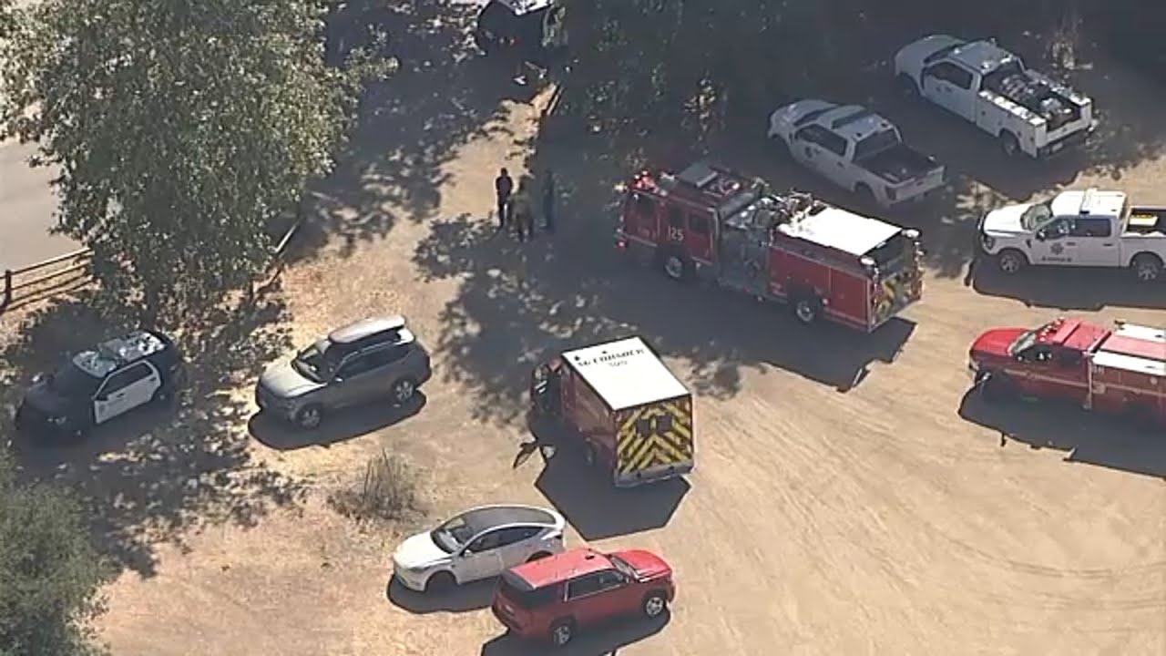 Child killed after tree branch falls on group at summer camp in ...