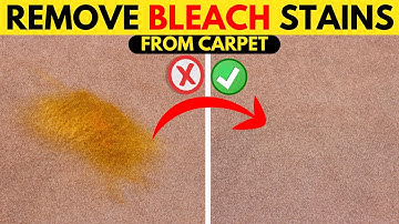 Simple Way to Get old Bleach Stains Out of Carpet