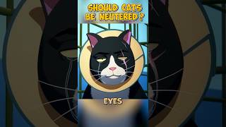 Should Cats Be Neutered ?