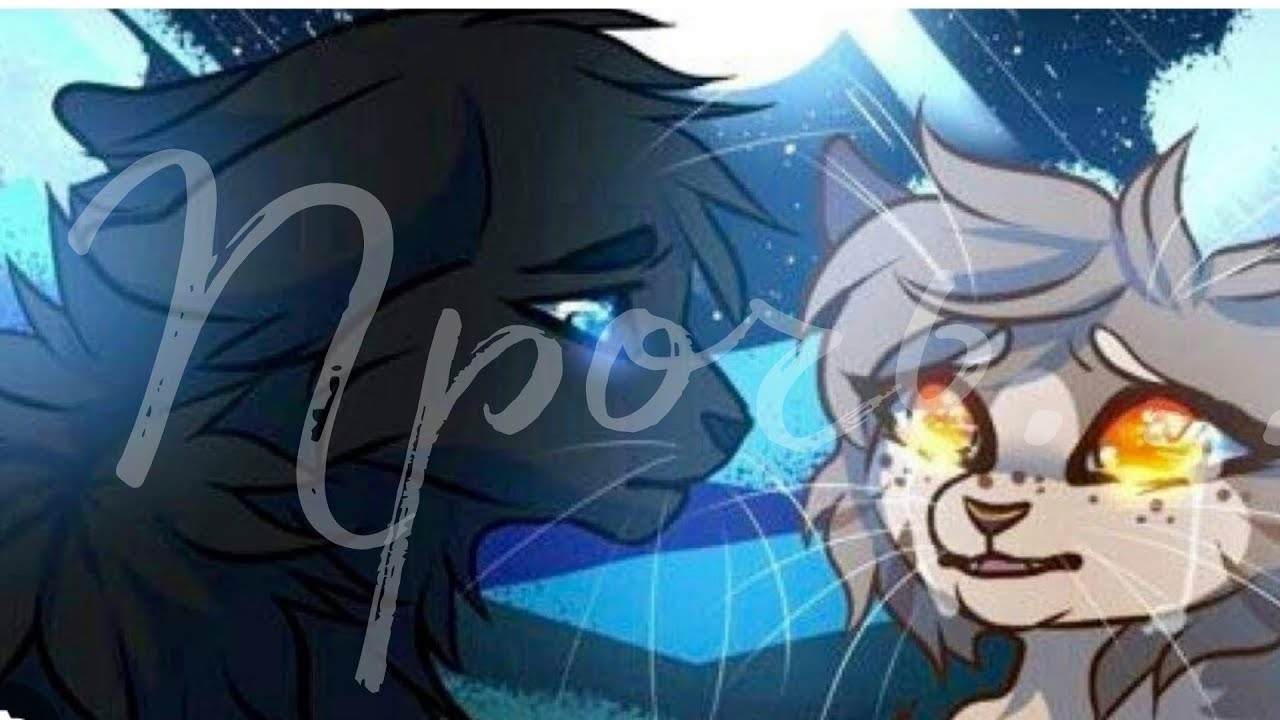 коты воители ЗАКАЗ Грач и Листвичка "расскажи мне свой знак (прочь ...