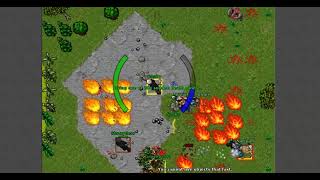 Battle in thais "Tibia - Silvera"
