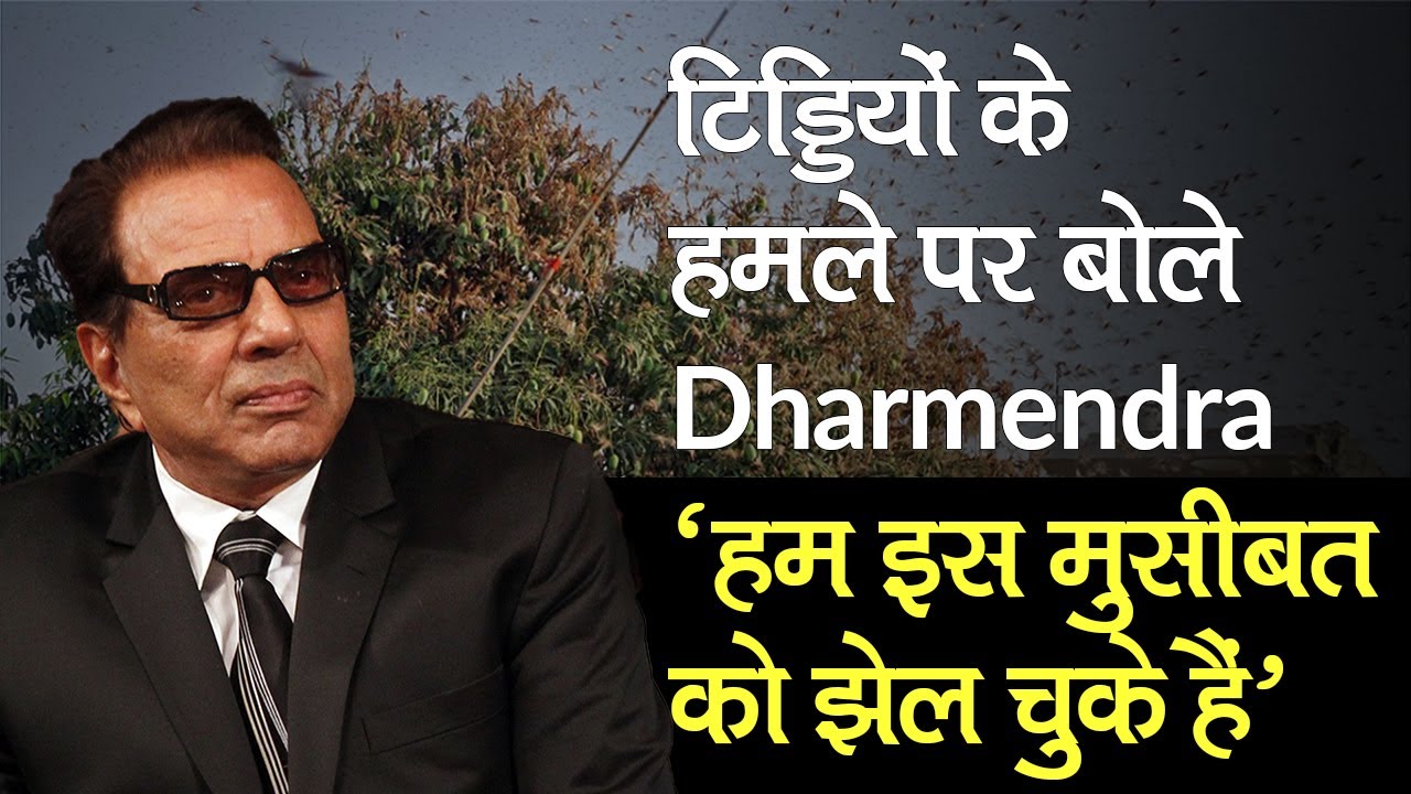 Actor Dharmendra ने शेयर किया टिड्डियों का Video,कहा- हम इस मुसीबत को झेल चुके हैं | Locust Attack