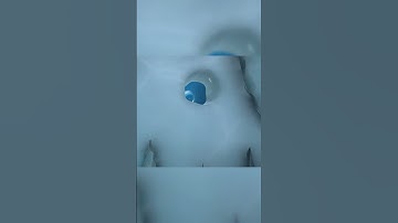 Scrat Slide - Ice Age: Scrat