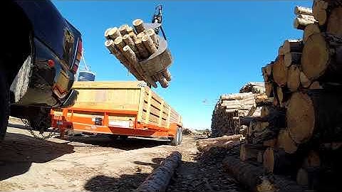 Unloading Logs at the Mill