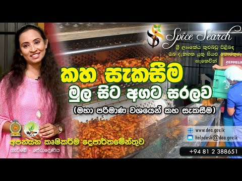 Turmeric processing A-Z (Large Scale)