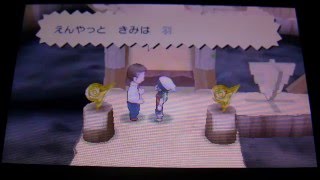 ポケモンアルファサファイア実況 44 幻のポケモン ミュウとヒワマキシティジムリーダー ナギ戦 Youtube