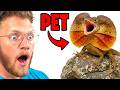 He Raised a Baby Dinosaur
