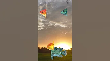 Assalamu Alaikum Shorts Viral 