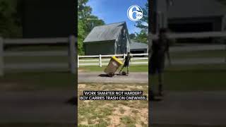 'Work smarter not harder!': Boy carries trash on Onewheel in Georgia