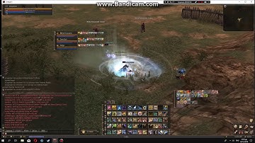 Lineage 2 Official - Macro Farm