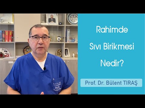 Video: Gelinciklerin Karnında Sıvı Birikimi