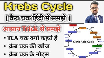 Krebs Cycle | Krebs Cycle in Hindi | Krebs Cycle trick | Krebs Cycle Notes | Glucose Metabolism