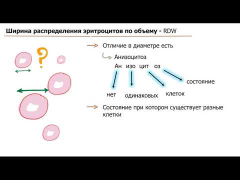 Эритроцитарные индексы | MCV, MCH, MCHC, RDW