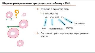 Эритроцитарные индексы | MCV, MCH, MCHC, RDW