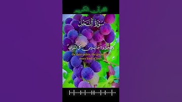 ﴿ إِنَّ فِي ذَٰلِكَ لَآيَةً لِّقَوْمٍ يَتَفَكَّرُونَ ﴾ 🎧💚 سورة النحل _ القارئ سعد الغامدي