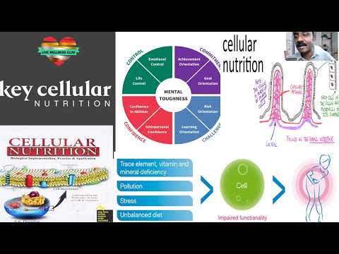 WELLNESS TALK ON CELLULAR NUTRITION - YouTube