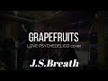 GRAPEFRUITS(LOVE PSYCHEDELICO COVER)