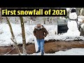 I lost my self in Polish forest. First snowfall vlog of 2021 From Poland. #DhaniExplores