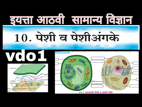 इयत्ता आठवी |सामान्य विज्ञान| प्रकरण 10.पेशी व पेशीअंगके| iyatta 8 vi |vidnyan |peshi v peshiangake