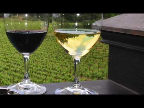 Video: Mernet & Wine Tasting Basics
