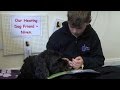 Niven the hearing dog helps exeter deaf academy students with reading  bbc spotlight