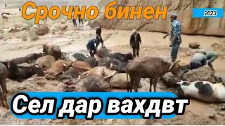 Сел дар вахдат Тожикистон 24 05 2023