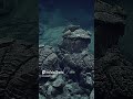 Mariana Trench  The Deepest Spot on Earth 🌊