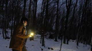 ЕС: мигранты идут через Альпы