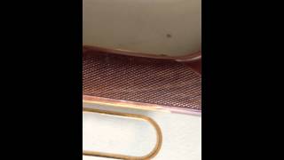 Rifle Winchester Antlered Game 30 30