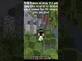 Minecraft !