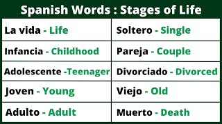 Spanish Words for Beginners Stages of Life