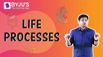 Life Processes