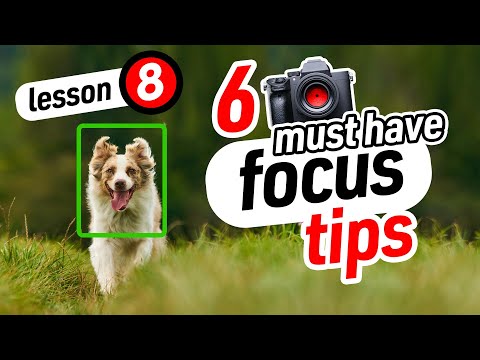 Increase Your Keeper Rate With Theses Focus Settings (Lesson 8)