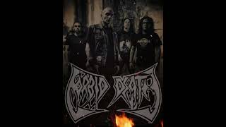 Morbid Death - Hole Worm