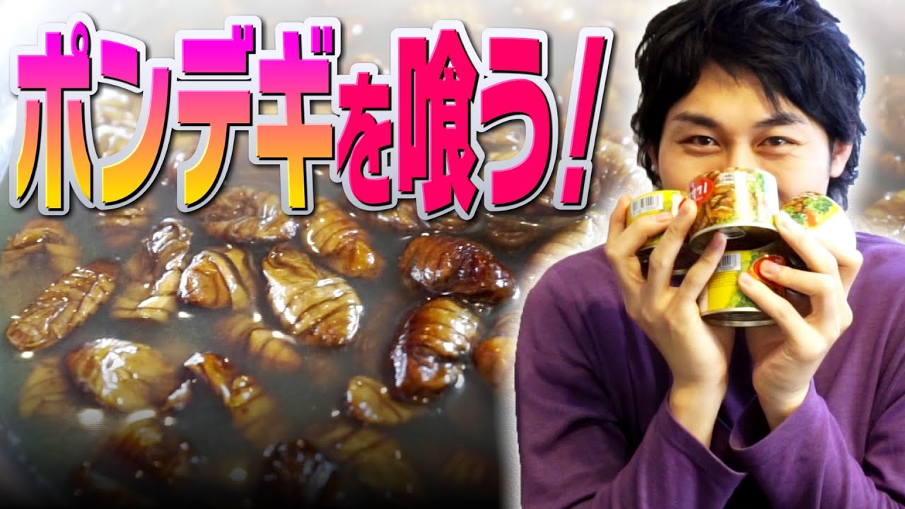 ゲテモノ料理 ポンデギの実食レポート Youtube