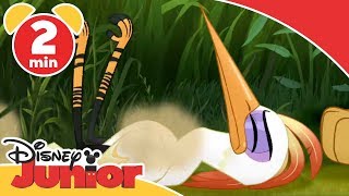 Lejonvakten | På safari med Ono och Fuli - Disney Junior Sverige
