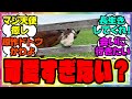 『可愛すぎる実馬のメイショウドトウ』に対するみんなの反応集 まとめ ウマ娘プリティーダービー レイミン 競馬 ドットさん