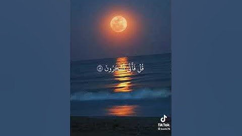 سورة المؤمنون الأيات من 78 ألى 96