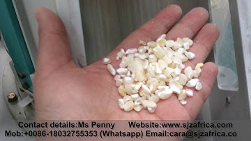 degerminator,maize milling machine