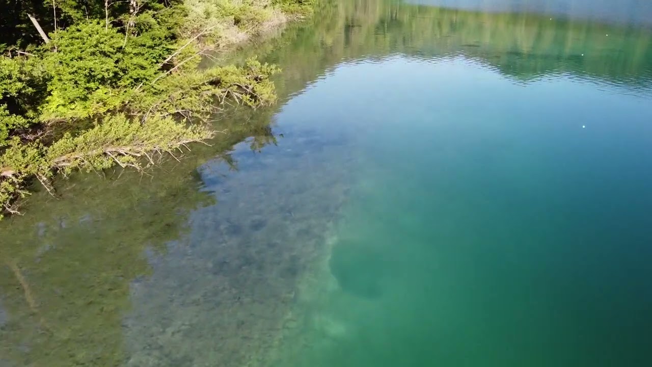 Lake Bled drone footage BIG FISH