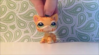 Lps Please Watch Series Error Out Dated